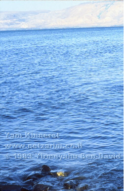 Yam Kinneret